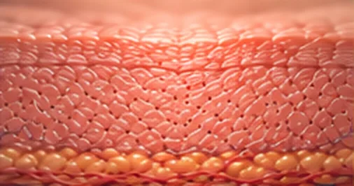 Illustration of step 5: Clearer skin